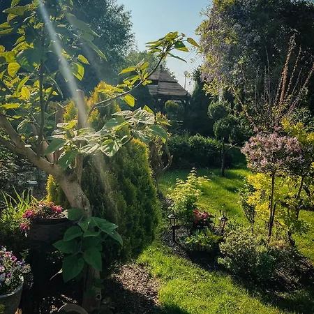 Проживание в семье Na Orzeszkowej Камень-Поморски